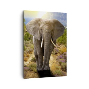 Vászonkép - Így nézett ki Eden - 50x70 cm