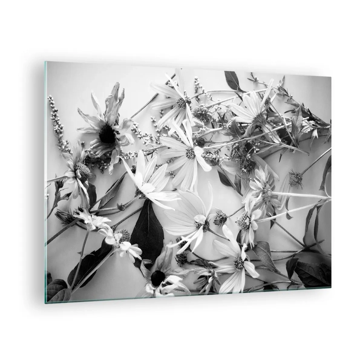 Üveg kép - Szétszórt fekete-fehér virágok művészi elrendezésben - 70x50cm - Nem virágcsokor - Modern fali dekoráció nappalihoz és hálószobához ARTTOR