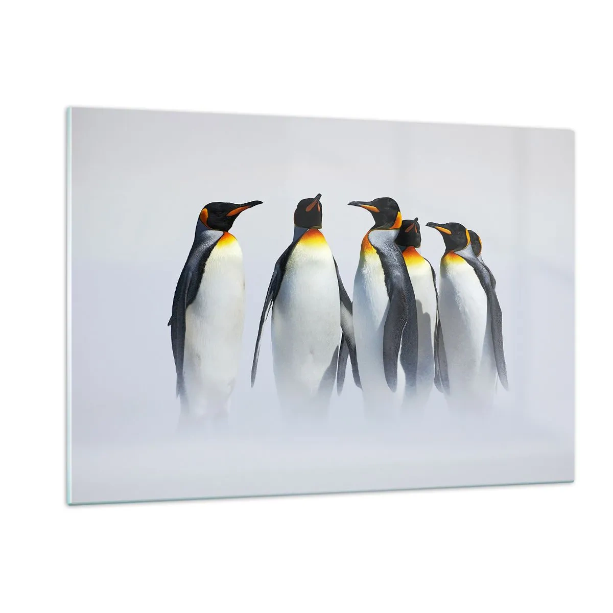 Üveg kép - Találkozás éjszakai ruhában - 120x80 cm