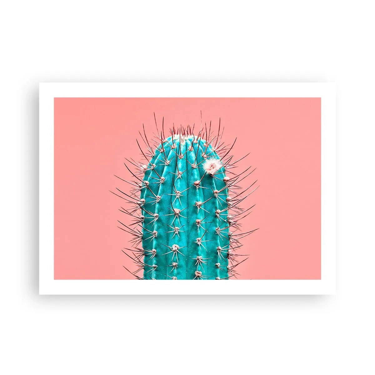 Poszter - Csak nézz - 70x50 cm