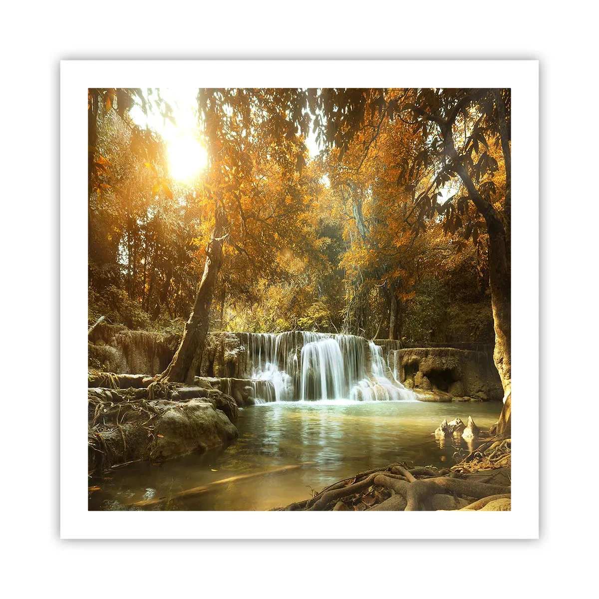 Poszter - Park kaszkád - 60x60 cm