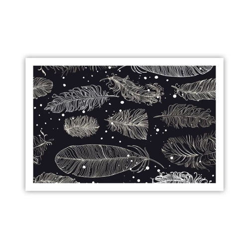 Poszter - Tollas csipke - 91x61 cm