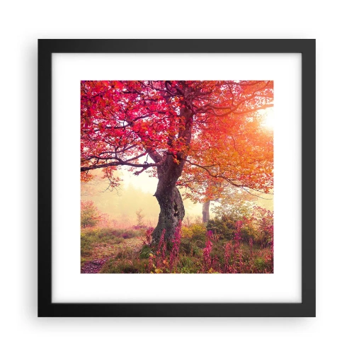 Poszter fehér keretben - Virágzás őrülete - 30x30 cm