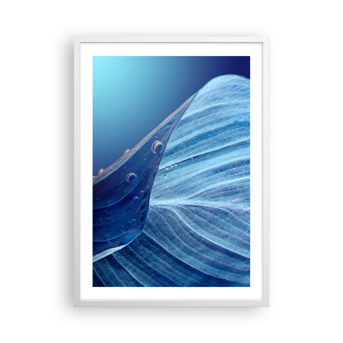 Poszter fekete keretben - A kék rejtett cseppjei - 50x70 cm