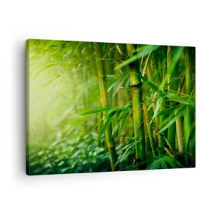 Vászonkép - Zöld bambuszerdő lágy fényben - 70x50cm - Megismerni magát a zöldet - Modern fali dekoráció nappalihoz és hálószobához ARTTOR