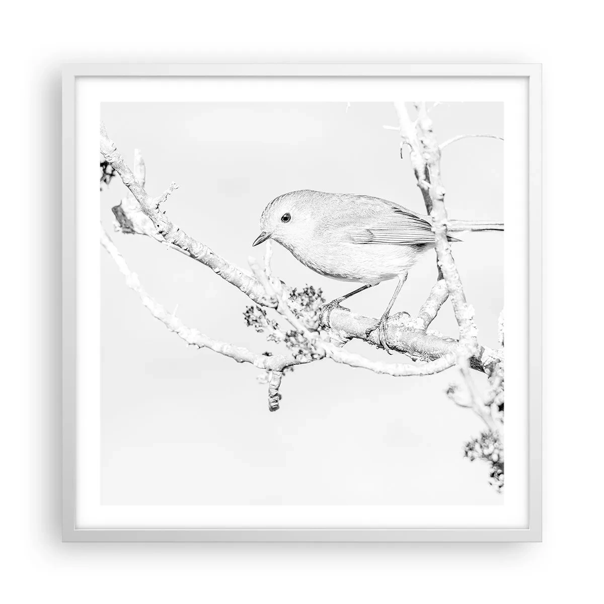 Poszter fekete keretben - Téli reggel - 60x60 cm