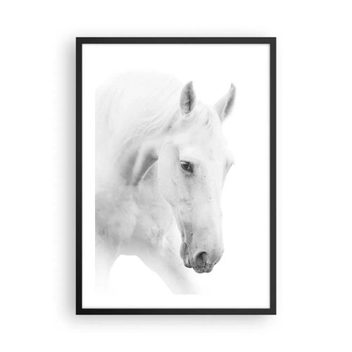 Poszter fehér keretben - Fehér ló portréja minimalista stílusban - 50x70cm - Ez a barátság...? - Modern fali dekoráció nappalihoz és hálószobához ARTTOR