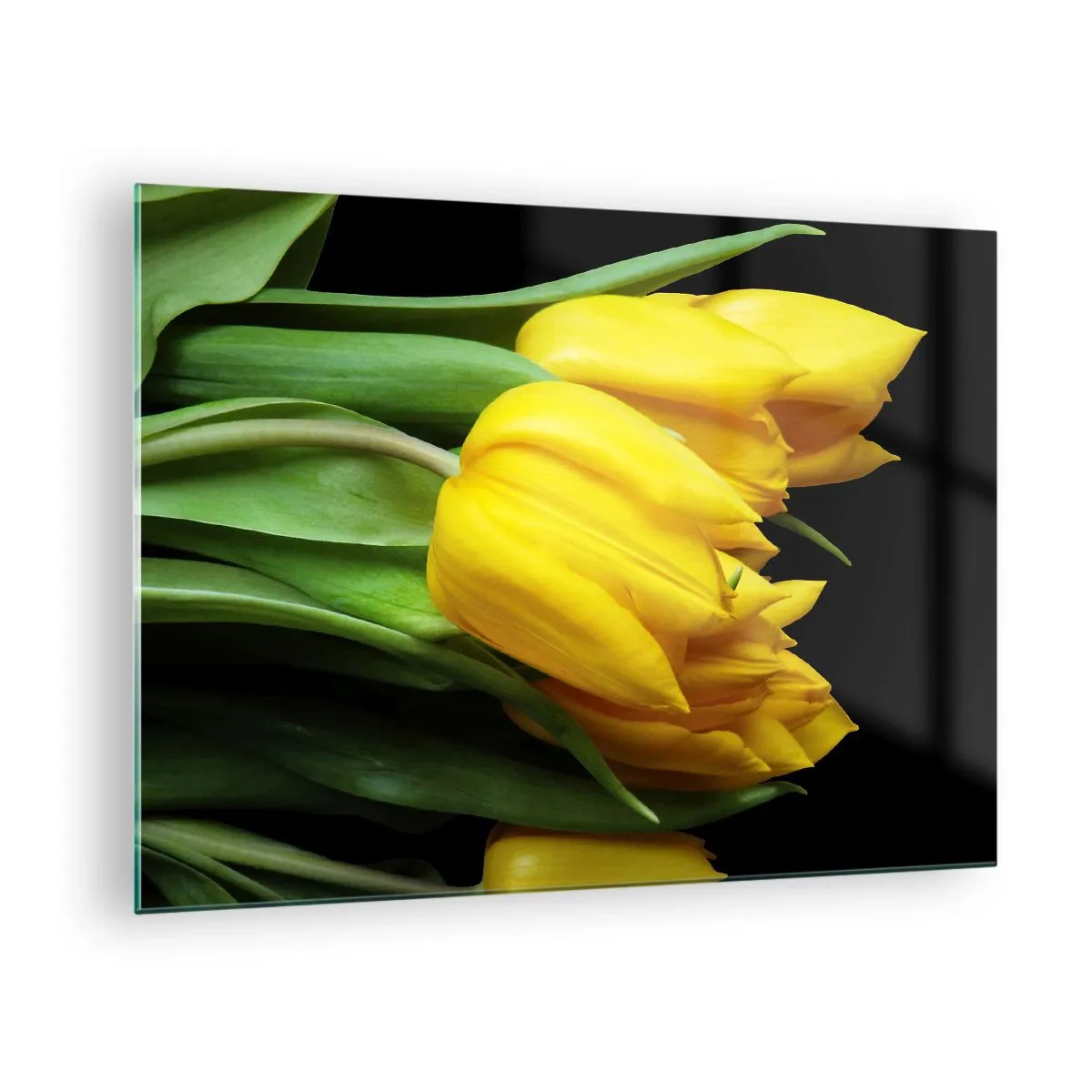 Üveg kép - Sárga tulipánok fekete háttéren, elegáns felvételen - 70x50cm - Tiszta napból készült - Modern fali dekoráció nappalihoz és hálószobához ARTTOR