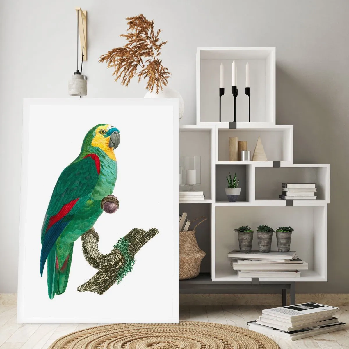 Poszter - Papagáj portré - 70x100 cm