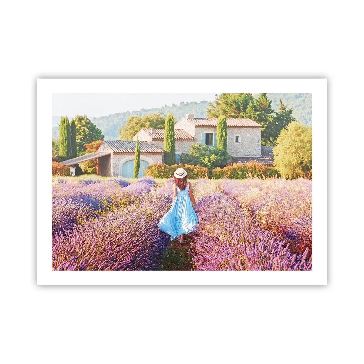 Poszter - Levendula lány - 70x50 cm