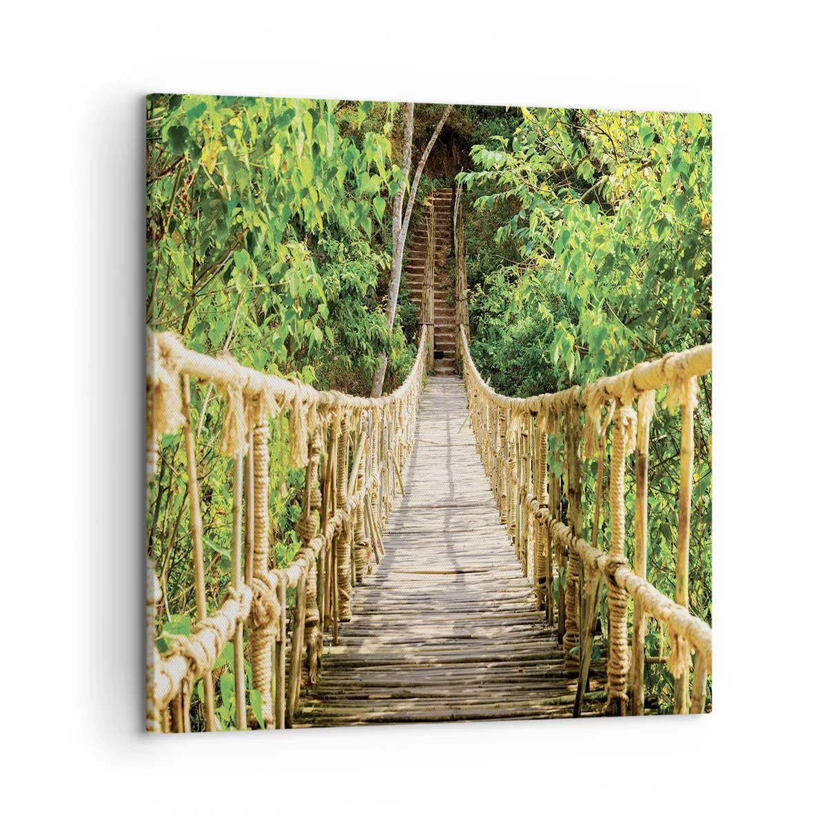 Vászonkép - Zöldben ragadva - 50x50 cm