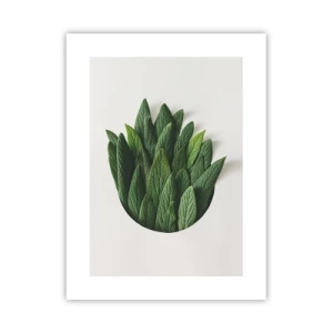 Poszter - Féktelen kíváncsiság - 30x40 cm