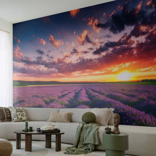 Fotótapéta Premium Sand - Levendula világ - Tájkép, Levendula mező, Levendula - 400x280 cm