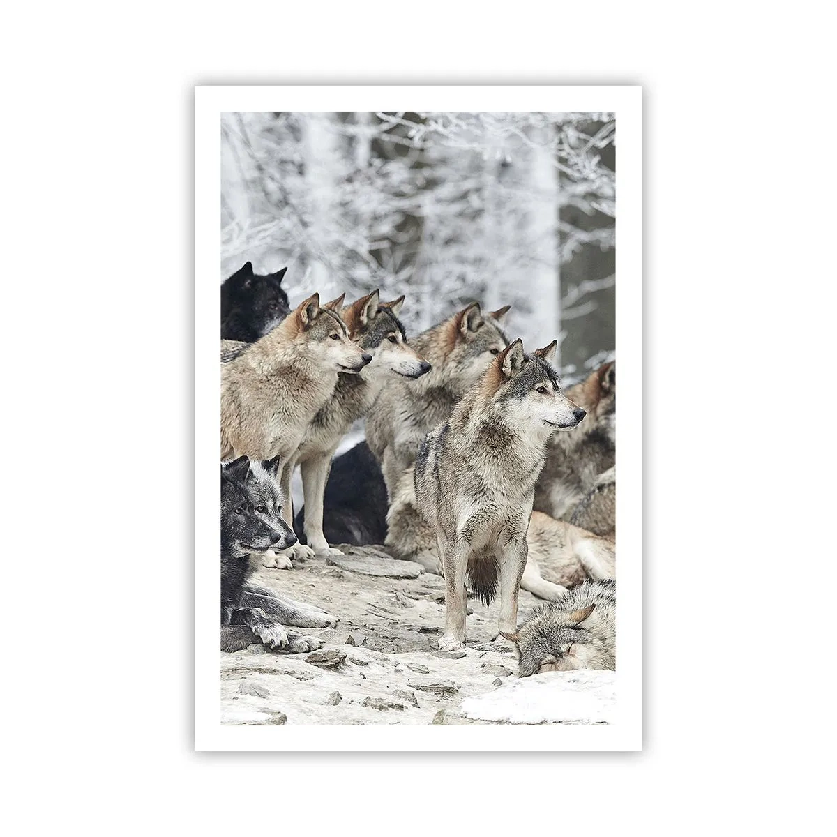 Poszter - Család és barátok - 61x91 cm