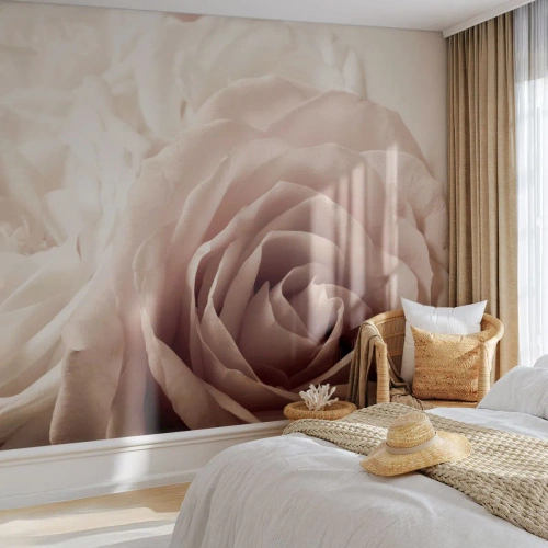 Fotótapéta Premium Sand - Egy rózsa szívében - Rózsák, Virágok, Romantikus - 200x140 cm