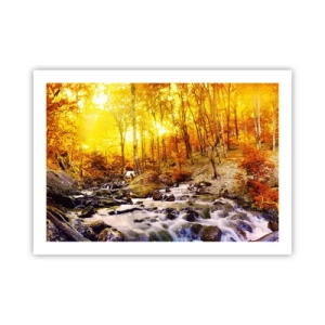 Poszter - Kövek aranyba és platinába - 70x50 cm