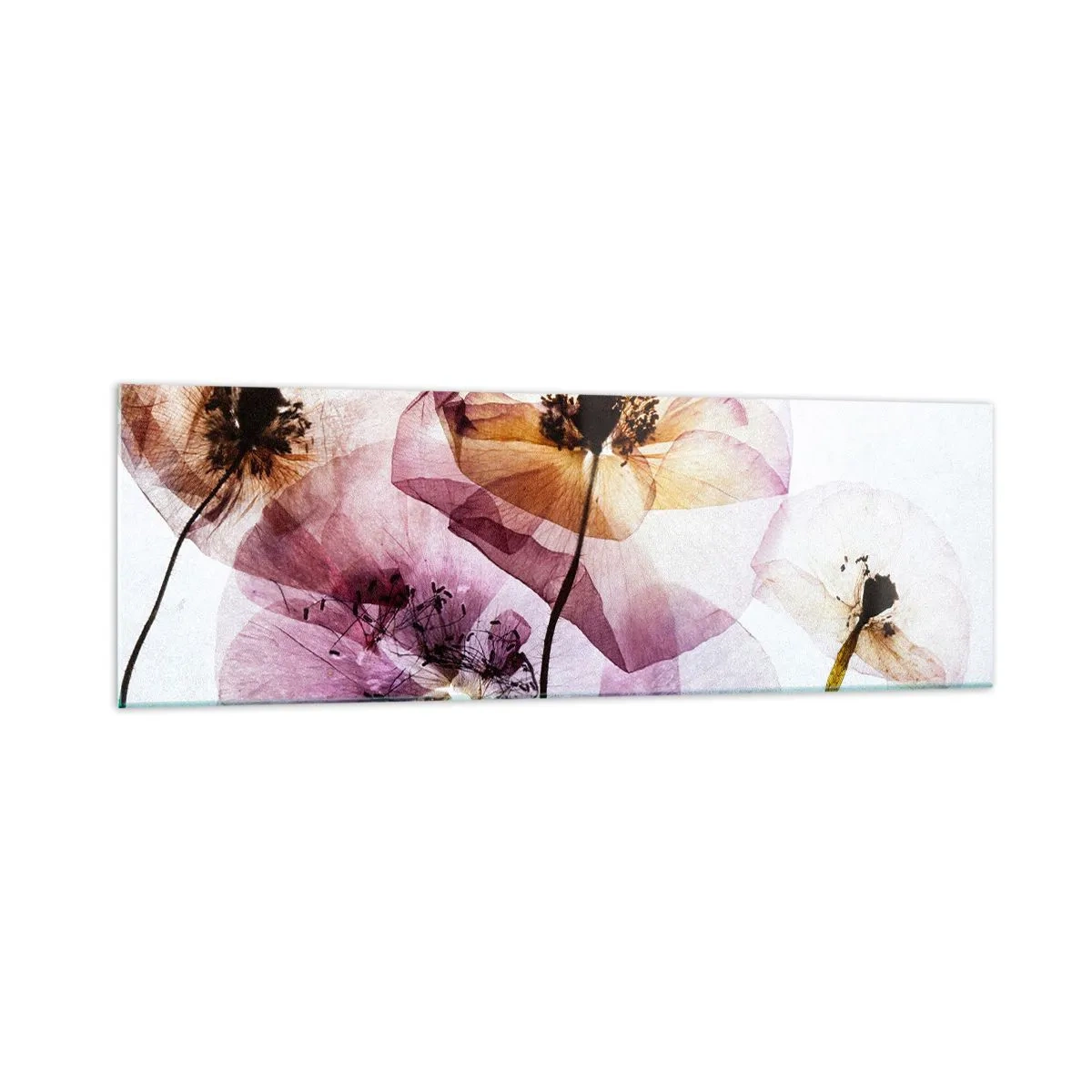 Üveg kép - Átlátszó virág test - 160x50 cm