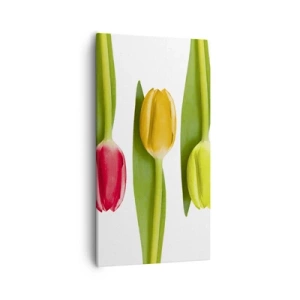 Vászonkép - Szivárvány kompozíció - 55x100 cm