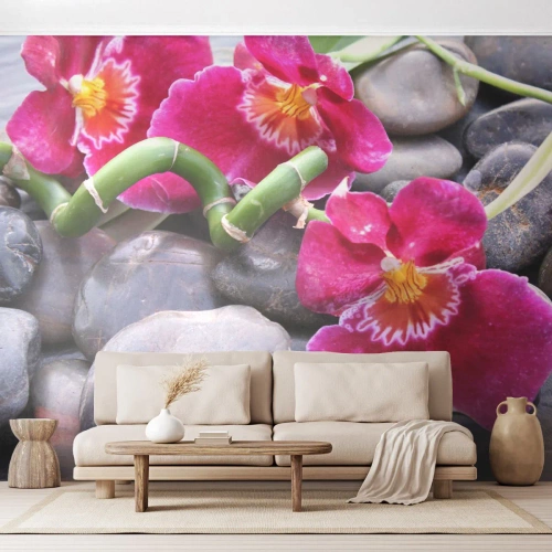 Öntapadós Fotótapéta Deluxe Sticker - Hideg és forró - Virágok, Kövek, Orchidea - 300x210 cm