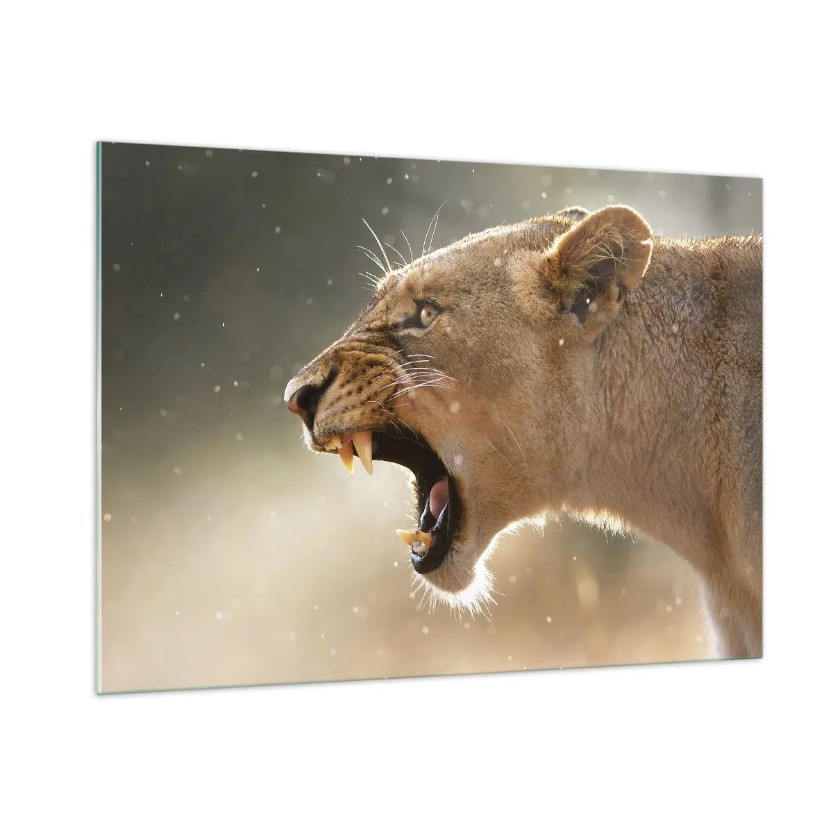 Üveg kép - Próbálj meg nem hallgatni - 100x70 cm