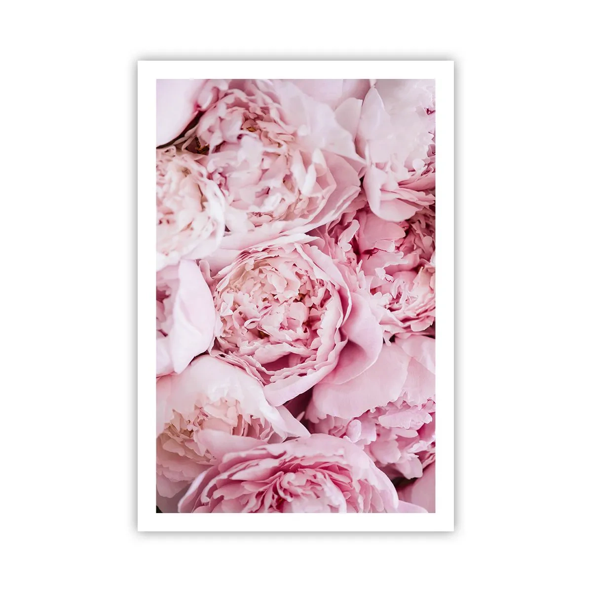 Poszter - Átölelve és illatos - 61x91 cm