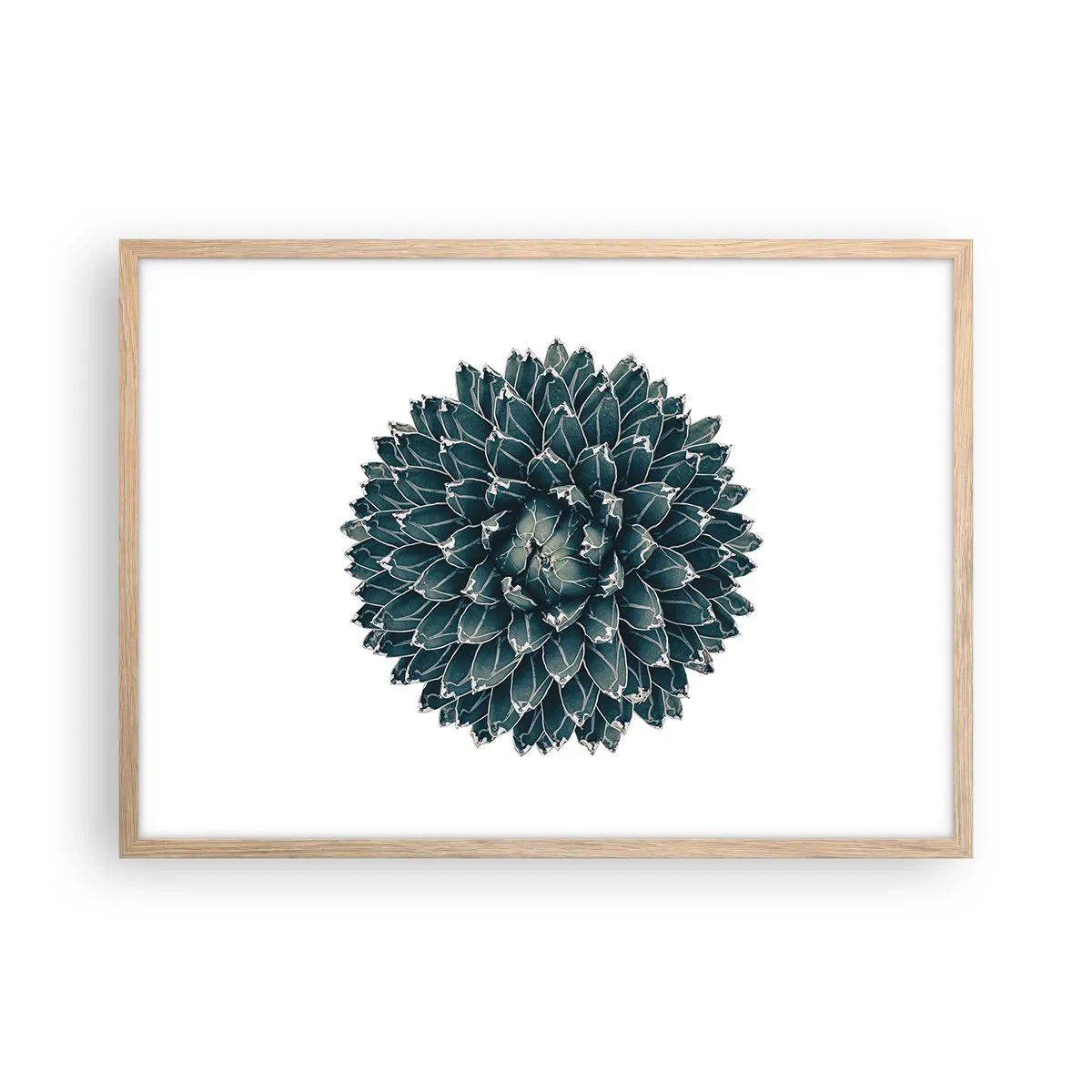 Poszter világos tölgy keretben - A sivatag csillaga - 70x50 cm