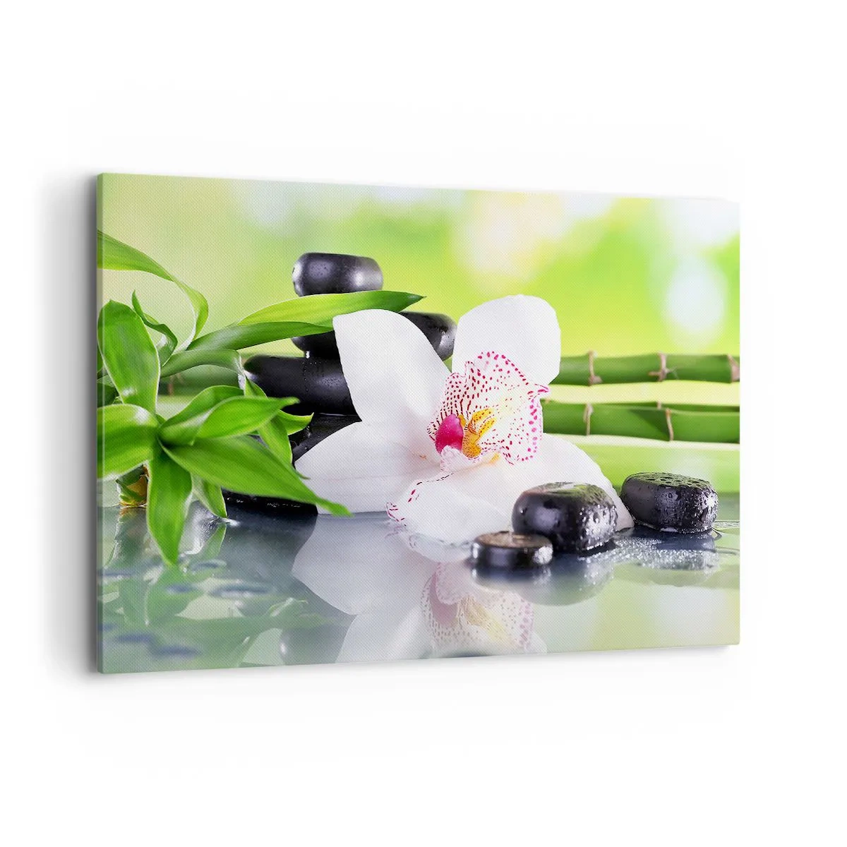 Vászonkép - Hűvös frissesség - 100x70 cm