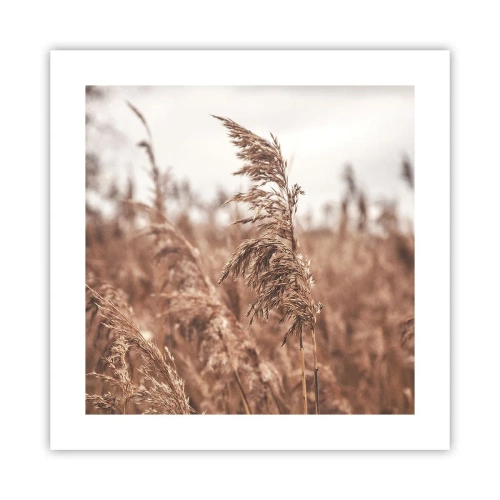 Poszter - Ősz van már a mezőkön - 40x40 cm