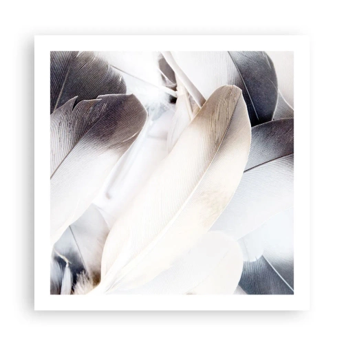 Poszter - Szinte angyali - 60x60 cm