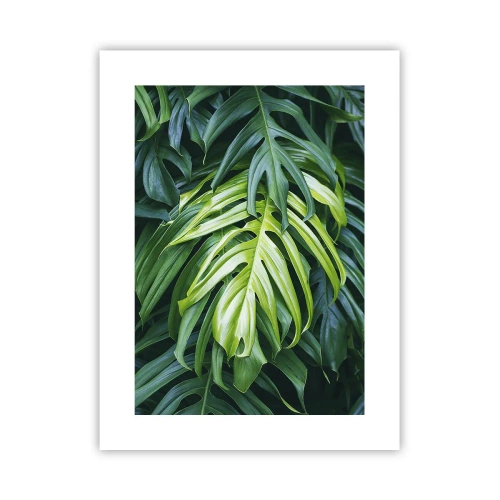 Poszter - Merüljön el a frissességben - 30x40 cm