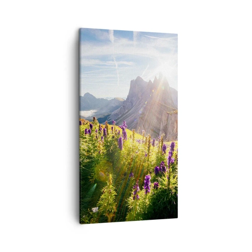 Vászonkép - A gyógynövények titkos élete - 45x80 cm