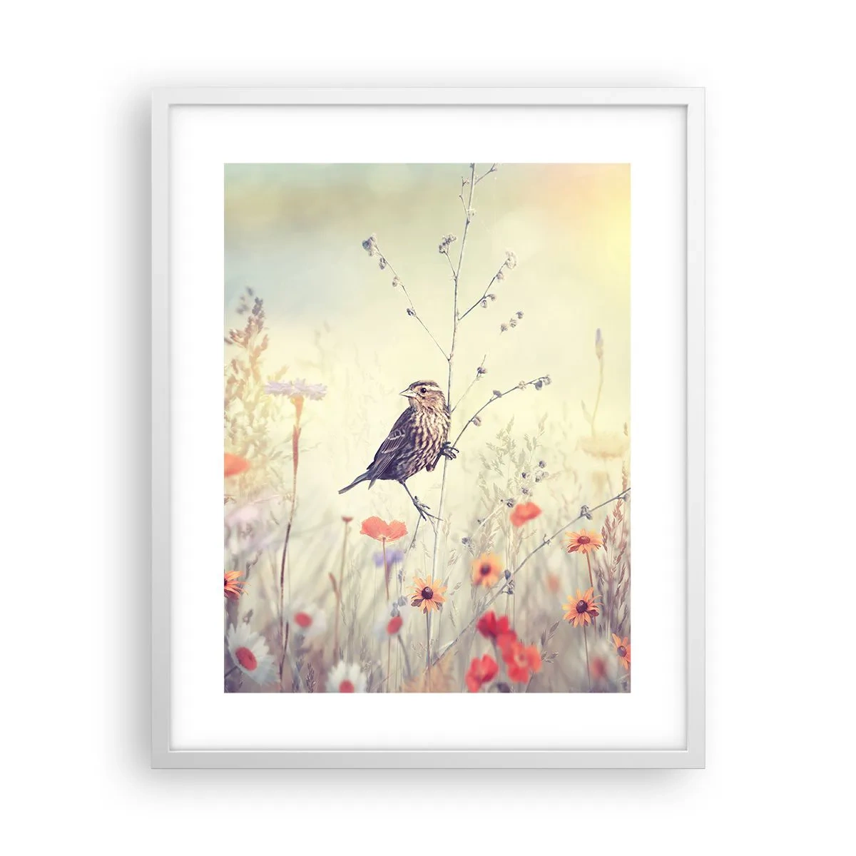 Poszter fekete keretben - Madárportré egy réttel a háttérben - 40x50 cm