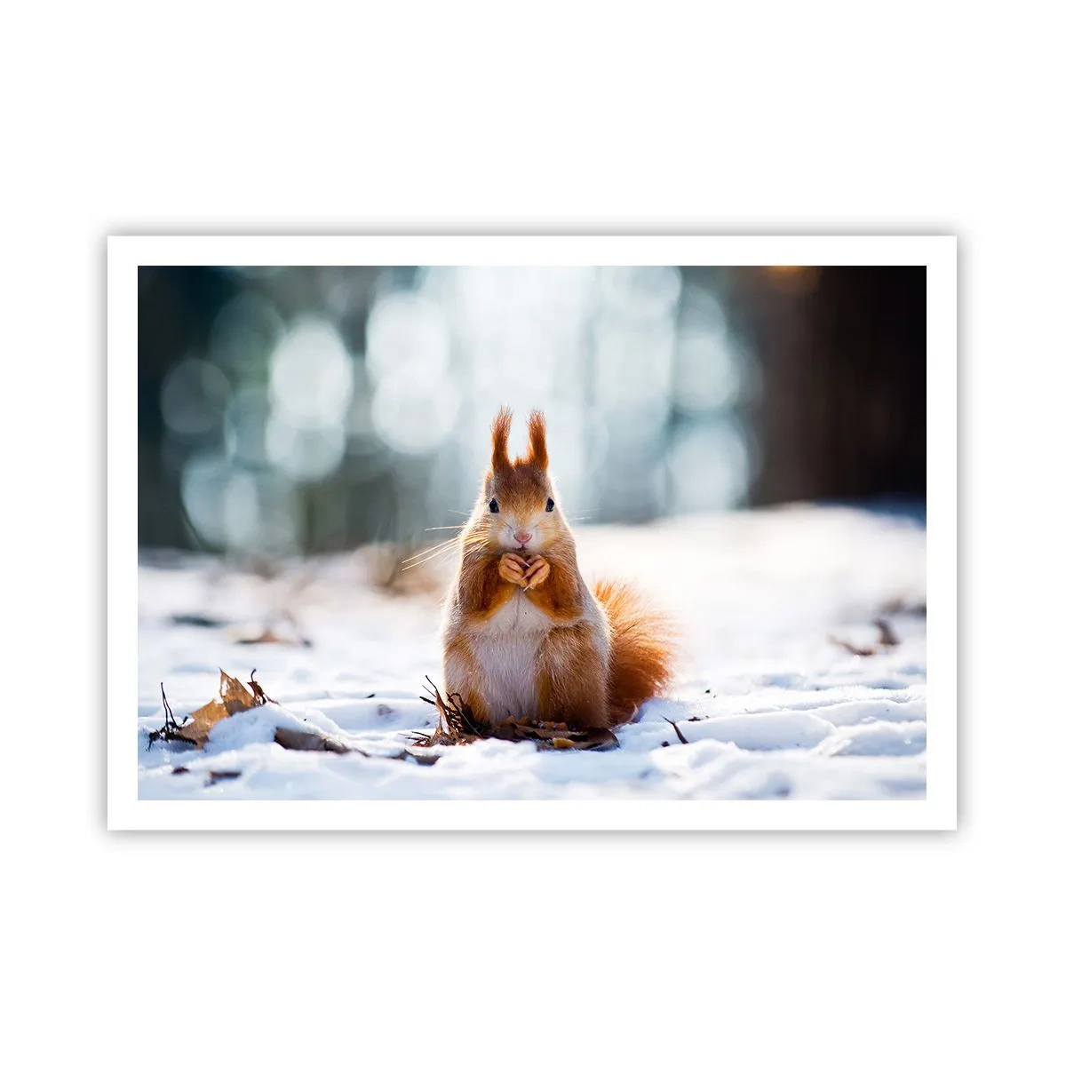 Poszter - Mit nézel? - 100x70 cm