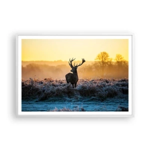 Poszter fekete keretben - Megkoronázott a birtokán - 100x70 cm