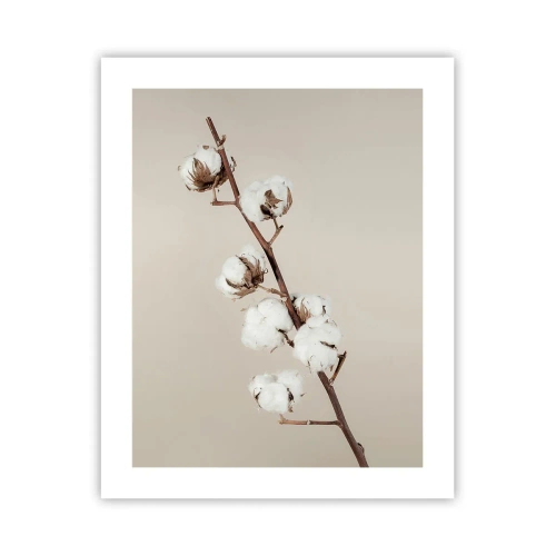 Poszter - A puhaság forrásánál - 40x50 cm