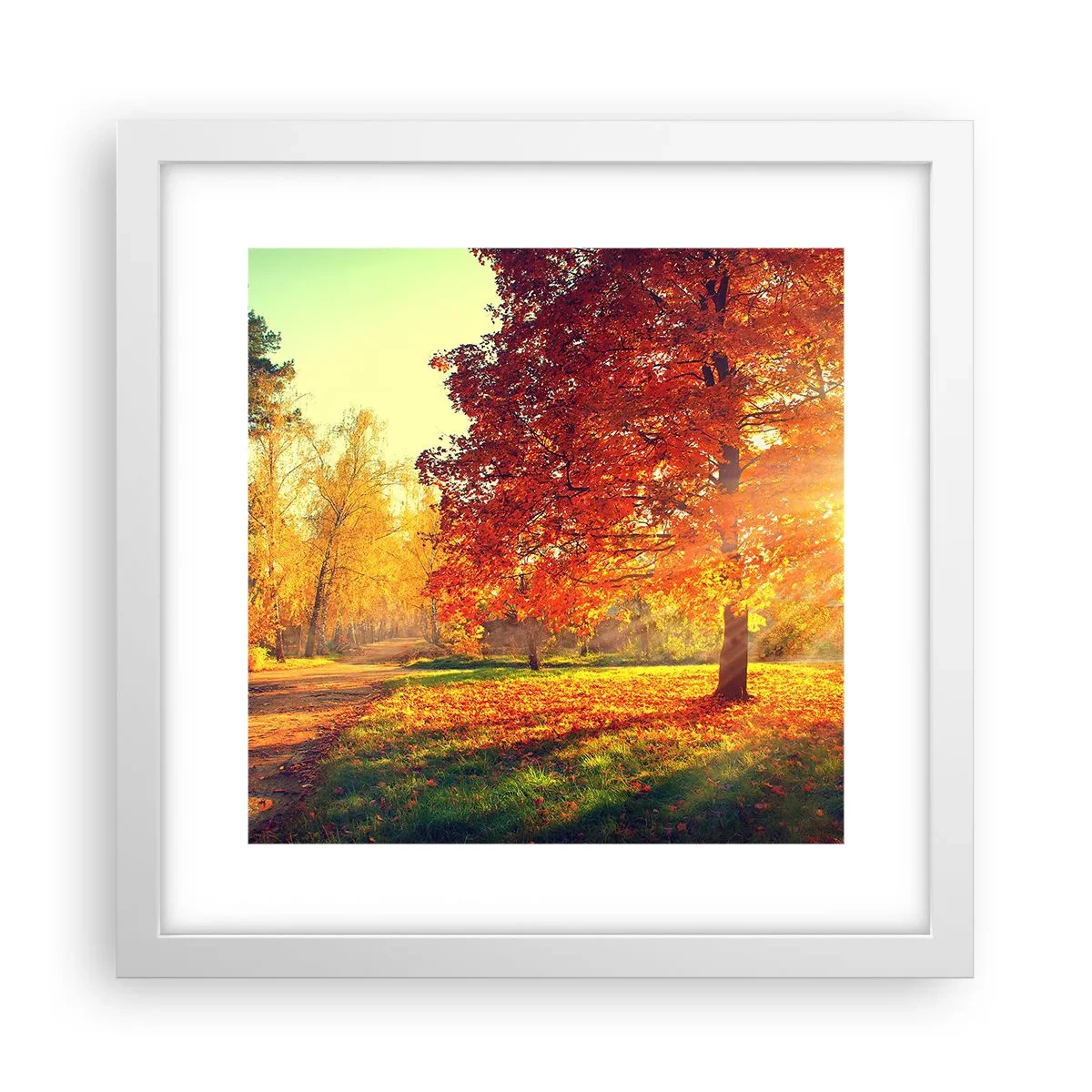 Poszter fekete keretben - A vörös gyönyörű - 30x30 cm