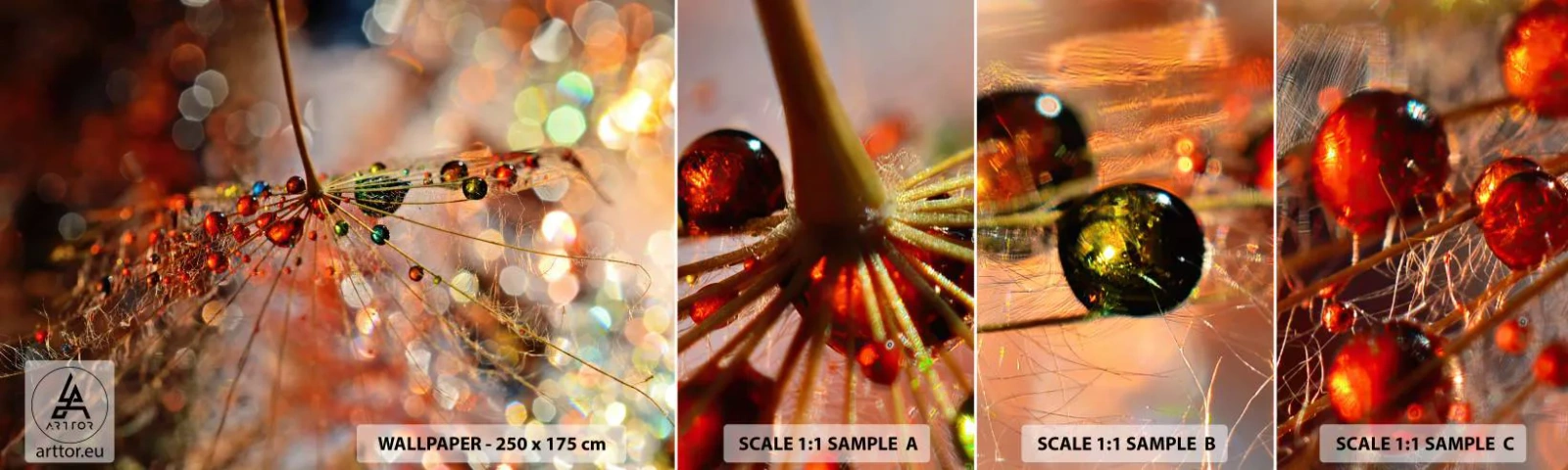 Fotótapéta Minta Standard Eco - Pókszálra fűzve - Absztrakció, pókháló, Darab - 100x30 cm
