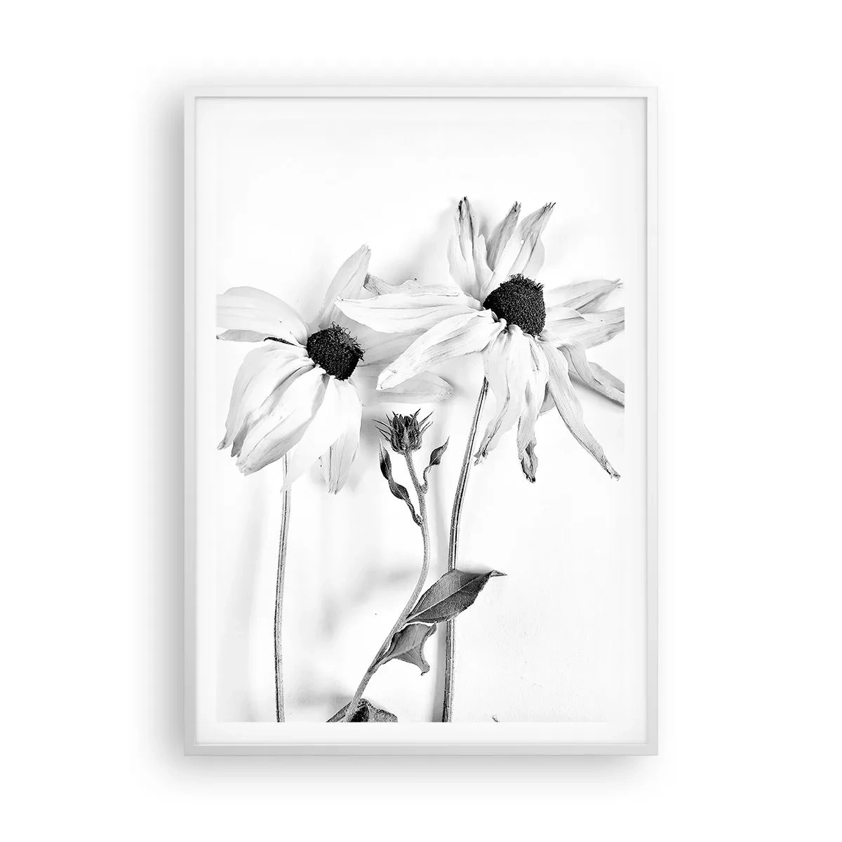 Poszter fekete keretben - Senki sem akar egyedül lenni - 70x100 cm