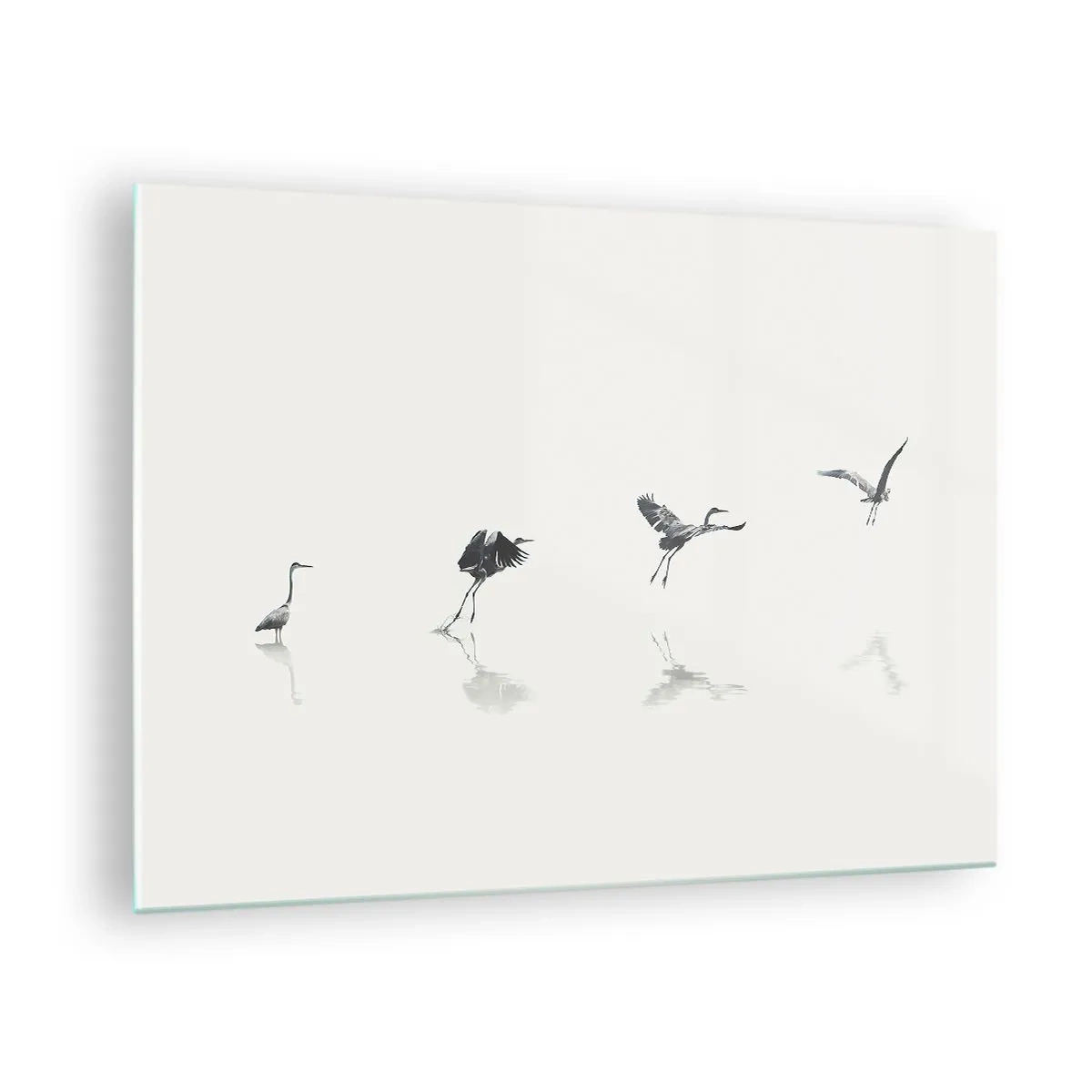 Üveg kép - Négy madár sziluettje mozog a víz felett - 70x50cm - Négy egyszerű lépés - Modern fali dekoráció nappalihoz és hálószobához ARTTOR