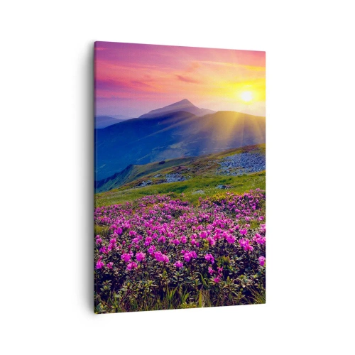 Vászonkép - … És körülötte hegyi fenyő és gyógynövények illata - 50x70 cm