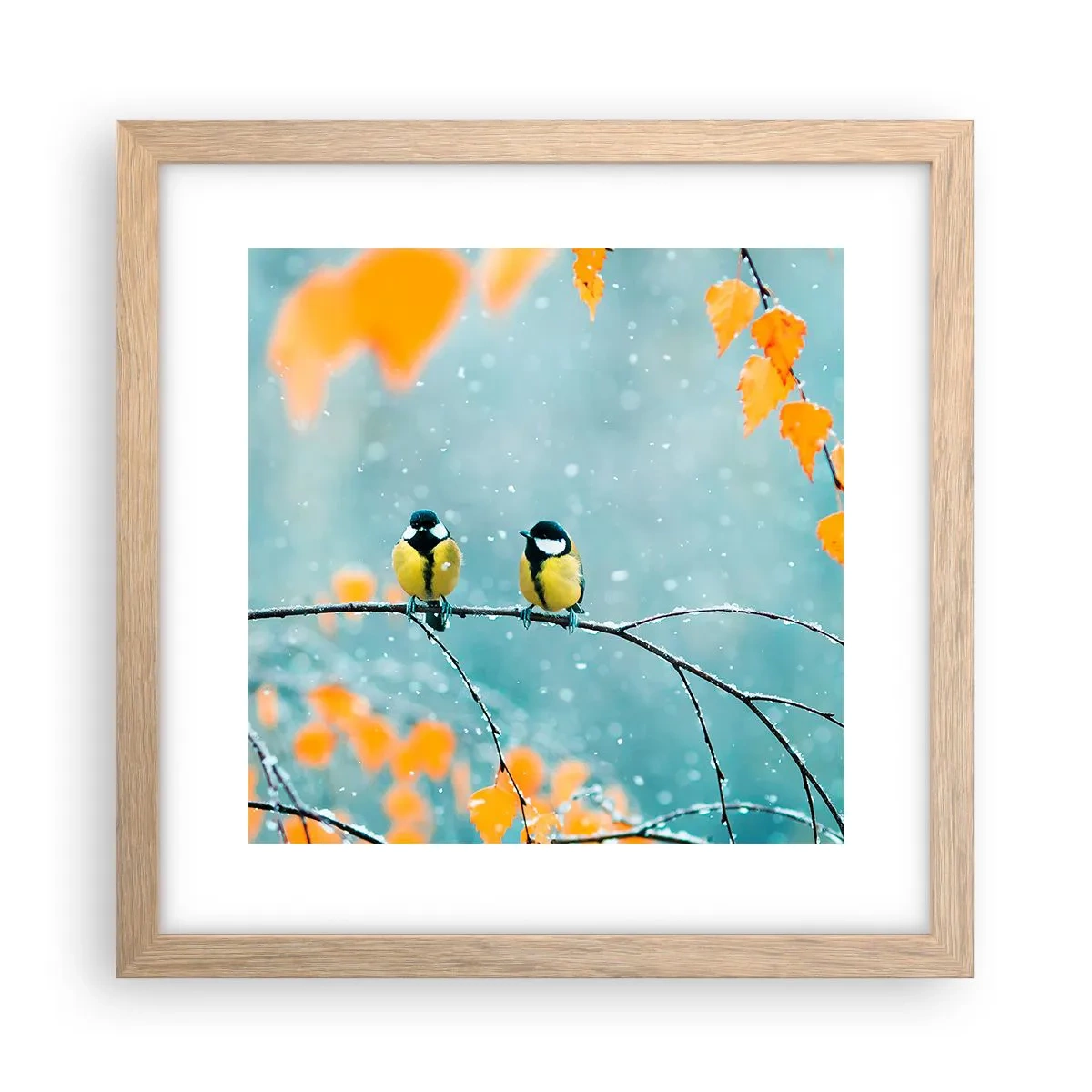 Poszter világos tölgy keretben - Madárpletykák - 30x30 cm