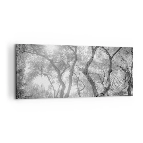 Vászonkép - Egy olajfaligetben - 100x40 cm