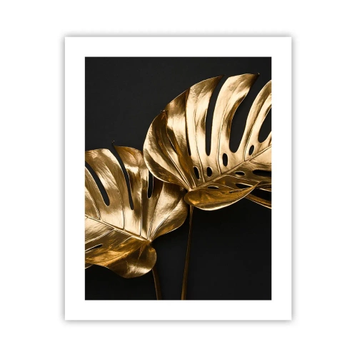 Poszter - A természet kincsei - 40x50 cm