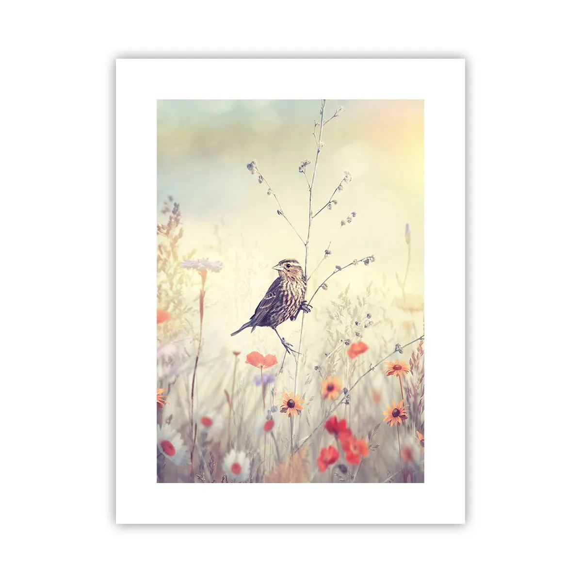 Poszter - Madárportré egy réttel a háttérben - 30x40 cm