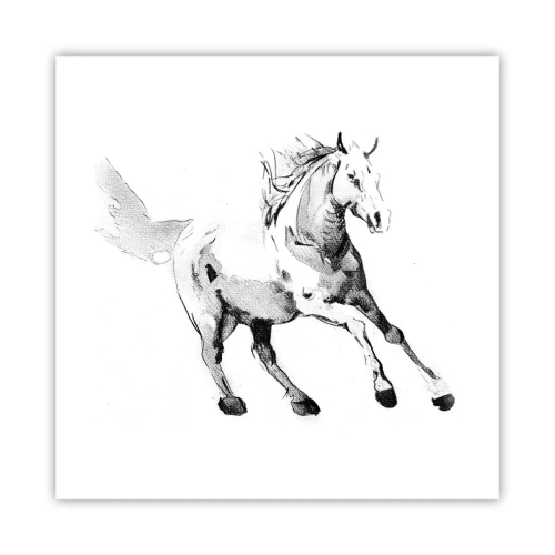 Poszter - Megszelídíthetetlen lélek - 40x40 cm