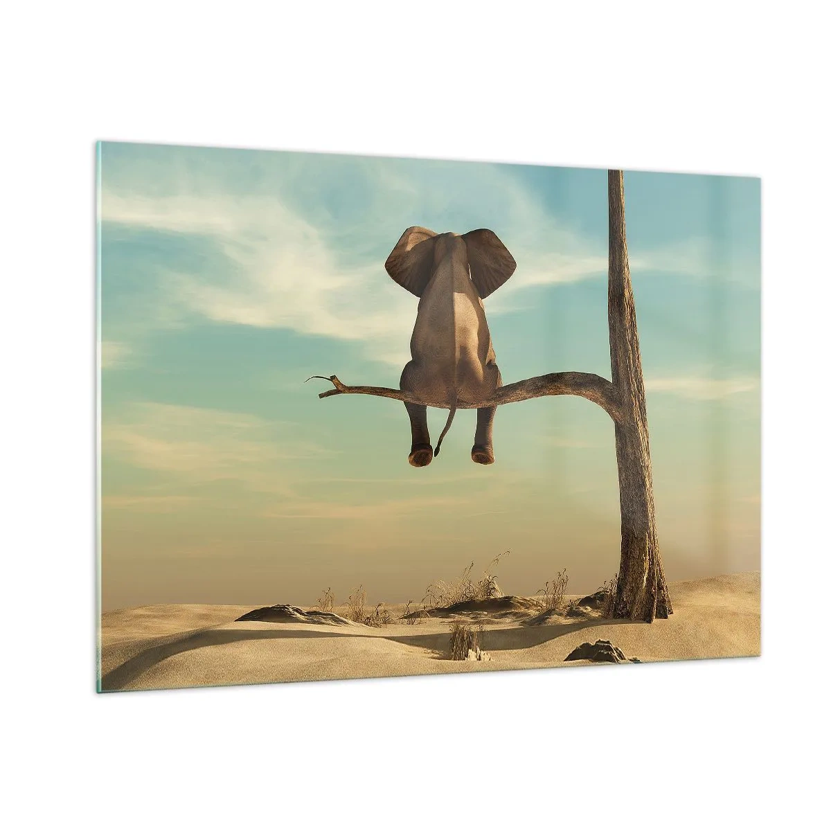 Üveg kép - Egy új nézőpont - 100x70 cm