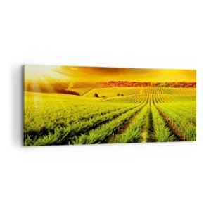 Vászonkép - Ausztrál nap alatt - 100x40 cm