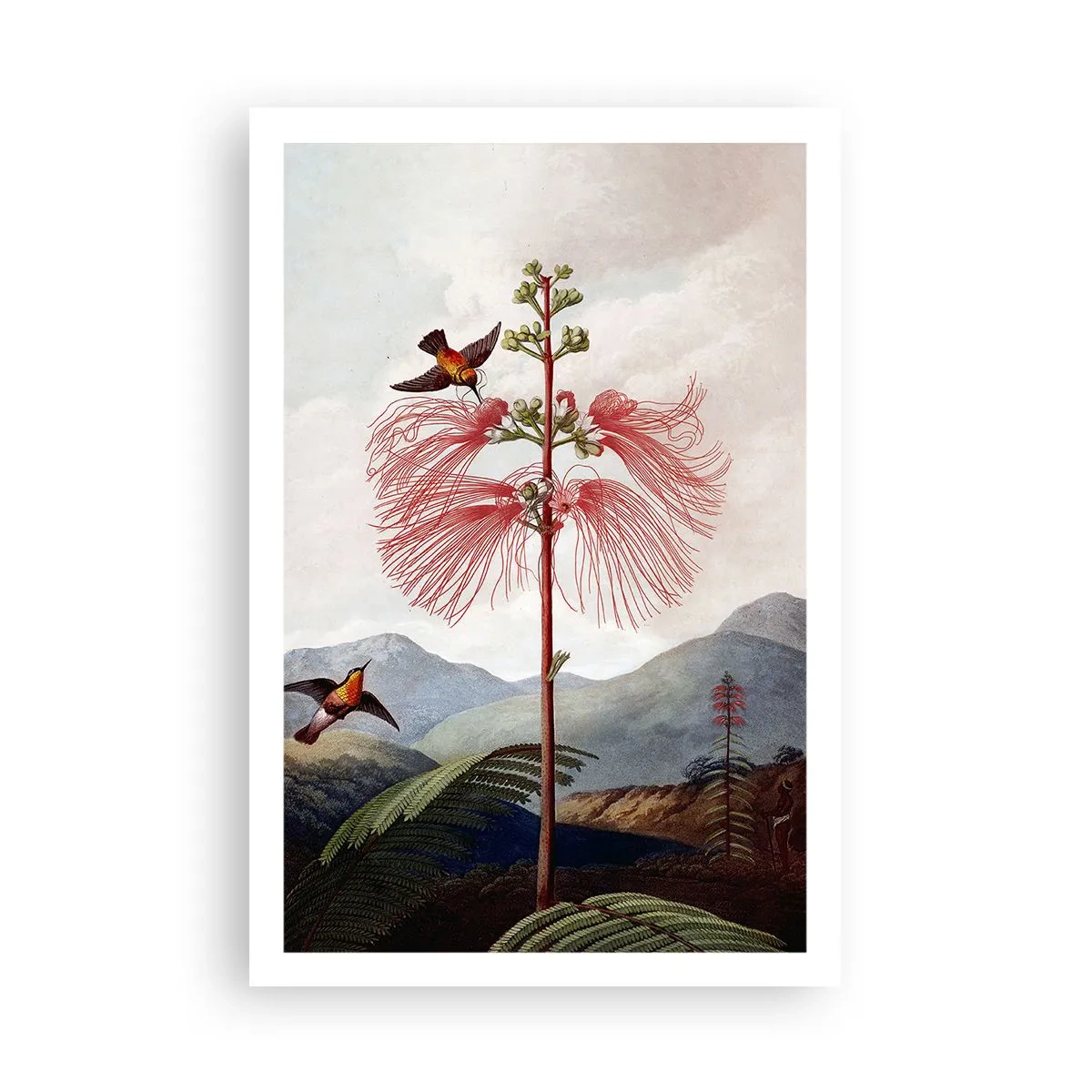 Poszter - Egy trópusi paradicsomban - 61x91 cm