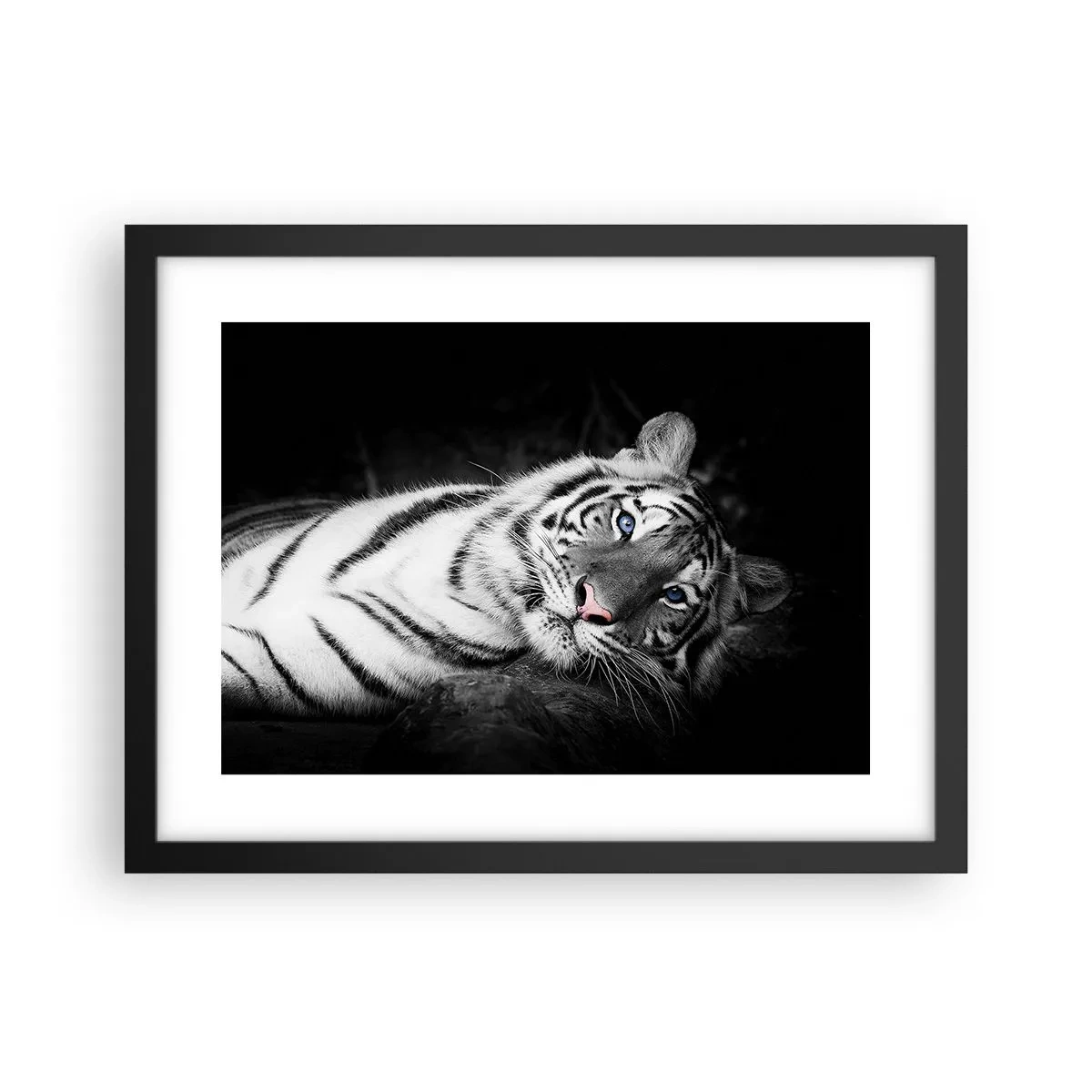 Poszter fehér keretben - Vadság és nyugalom - 40x30 cm