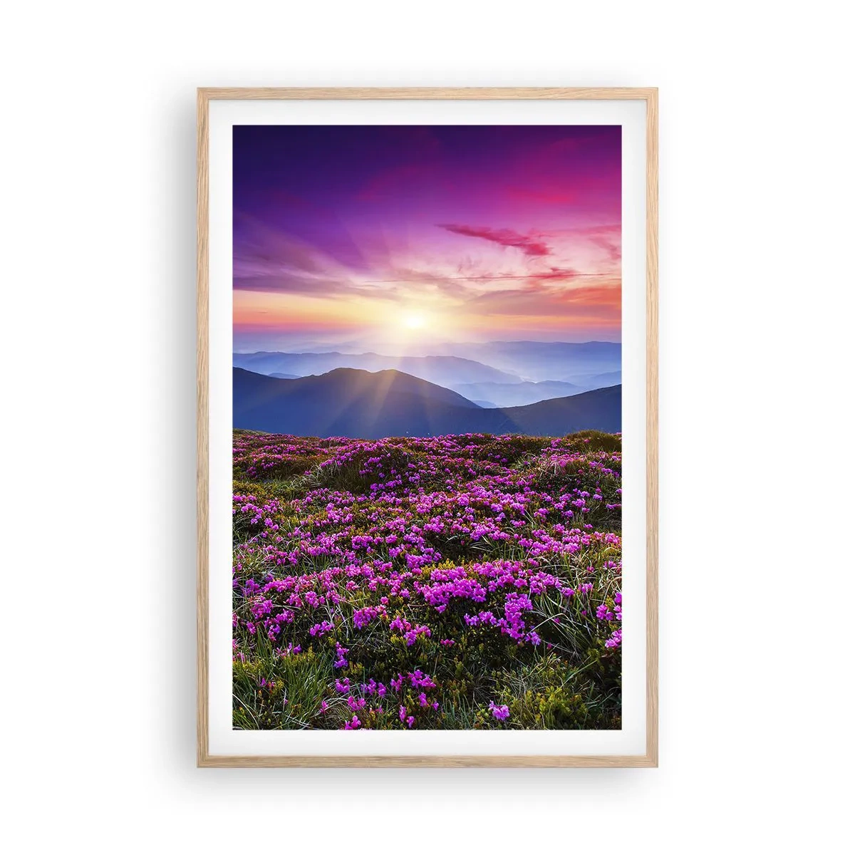 Poszter világos tölgy keretben - A gyógynövények friss fürtjei illatoztak a mezőkről - 61x91 cm